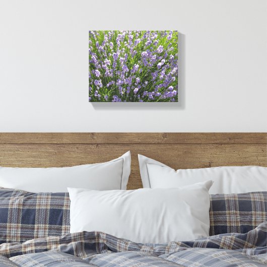 Lavendelveld Canvas Afdruk (Insitu (Slaapkamer))