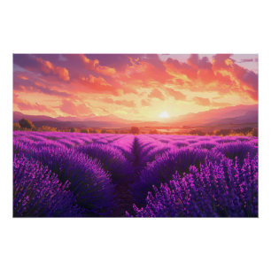 Lavendelveld in de Provence Perfect Poster
