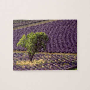 Lavendelveld in Haute Provence, Frankrijk Legpuzzel