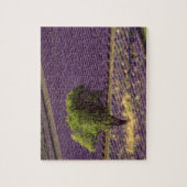 Lavendelveld in Haute Provence, Frankrijk Legpuzzel (Verticaal)