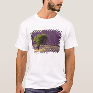 Lavendelveld in Haute Provence, Frankrijk T-shirt