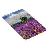 Lavendelveld landschap, Frankrijk Magneet (Rechterzijde)