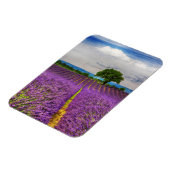 Lavendelveld landschap, Frankrijk Magneet (Linkerzijde)