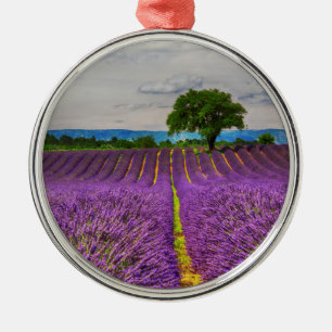 Lavendelveld landschap, Frankrijk Metalen Ornament