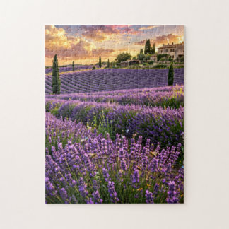 Lavendelveld Legpuzzel