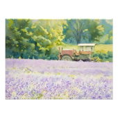 Lavendelveld Oogst met Tractor Foto Afdruk (Voorkant)