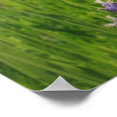 Lavendelveld Poster (Hoek)