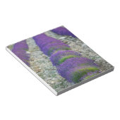 Lavendelveld, Provence, Frankrijk Notitieblok (Schuin)