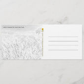 Lavendelveld schets - briefkaart (Achterkant)