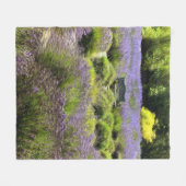 Lavendelvelden in Sequim Fleece Deken (Voorkant (Horizontaal))