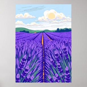 Lavendelvelden Poster