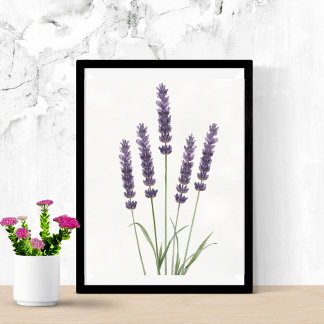 Lavendelvelden Watercolor Botanische Muurkunst Poster