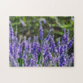 Lavendepuzzel Legpuzzel (Horizontaal)