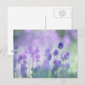 Lavender 2 briefkaart (Voorkant / Achterkant)