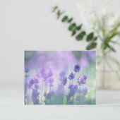 Lavender 2 briefkaart (Staand voorkant)