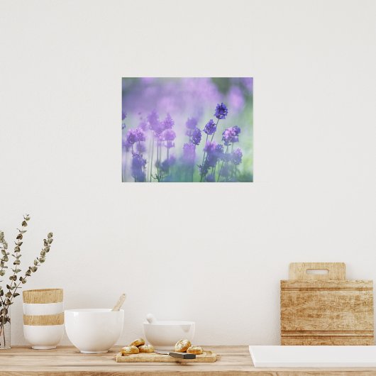 Lavender 2 poster (Keuken)