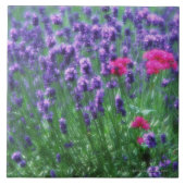 Lavender 3 tegeltje (Voorkant)