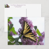 Lavender Aftermiddag Briefkaart (Voorkant / Achterkant)