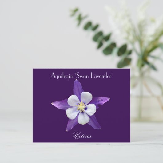 Lavender Aquilegia Columbine Briefkaart (Staand voorkant)
