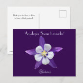 Lavender Aquilegia Columbine Briefkaart (Voorkant / Achterkant)