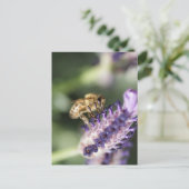 Lavender Bee Briefkaart (Staand voorkant)