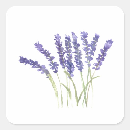 Lavender bloemen waterverf rustige kruiden plein s vierkante sticker (Voorkant)