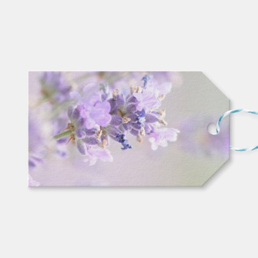 Lavender Bokeh Photographic Gift Label Cadeaulabel (Voorkant (Horizontaal))