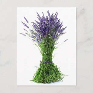 Lavender bouquet briefkaart