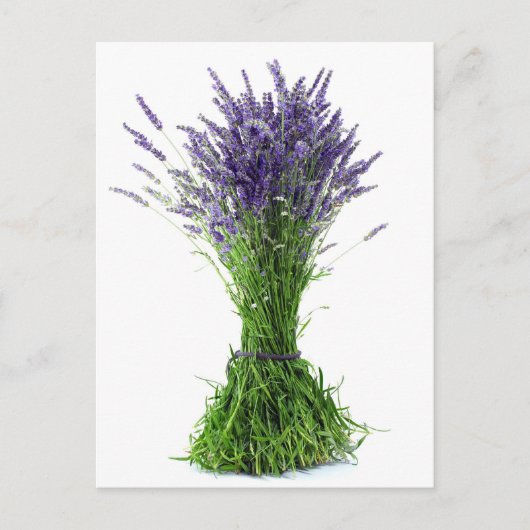 Lavender bouquet briefkaart (Voorkant)