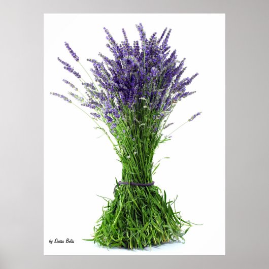 Lavender bouquet poster (Voorkant)