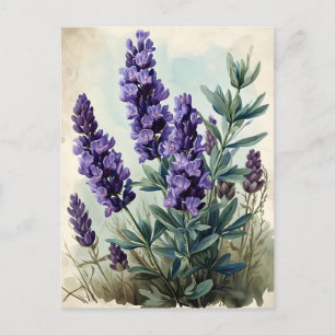  lavender briefkaart