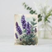  lavender briefkaart (Staand voorkant)