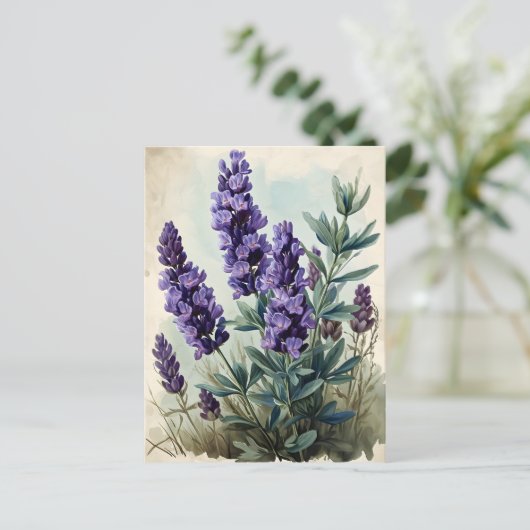  lavender briefkaart (Staand voorkant)