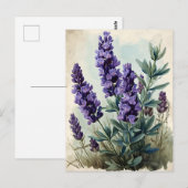  lavender briefkaart (Voorkant / Achterkant)