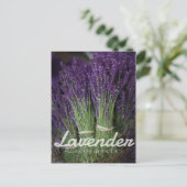 Lavender Bunch Briefkaart (Staand voorkant)