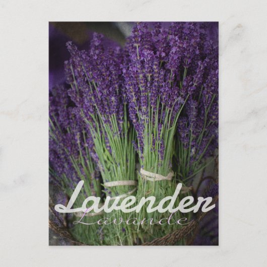 Lavender Bunch Briefkaart (Voorkant)
