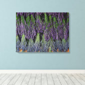 Lavender Bunches op droograck Canvas Afdruk (Insitu (Houten vloer))