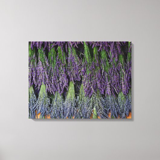 Lavender Bunches op droograck Canvas Afdruk (Voorkant)