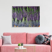 Lavender Bunches op droograck Canvas Afdruk (Insitu (Woonkamer))