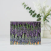 Lavender Bunches op een droog rack Briefkaart (Staand voorkant)