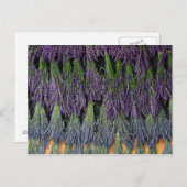 Lavender Bunches op een droog rack Briefkaart (Voorkant / Achterkant)
