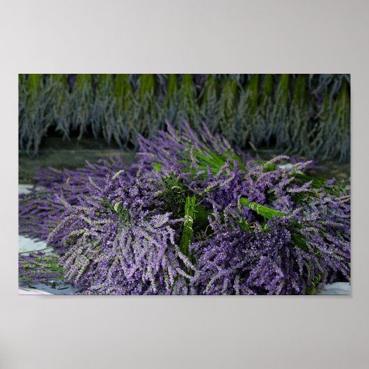 Lavender Bundles Poster (Voorkant)