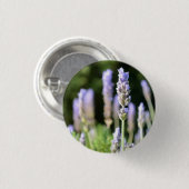 Lavender Button / Badge (Voorkant /achterkant)