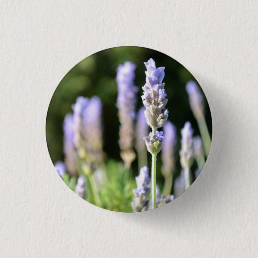 Lavender Button / Badge (Voorkant)