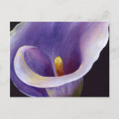 Lavender Calla Lily Briefkaart (Voorkant)