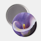 Lavender Calla Lily Magneet (Voorkant / Achterkant)