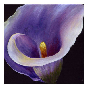 Lavender Calla Lily Perfect Poster