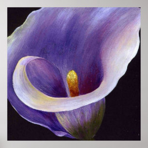 Lavender Calla Lily Poster