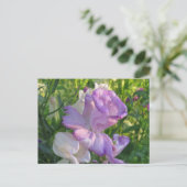 Lavender Campunella Bell Flower Briefkaart (Staand voorkant)