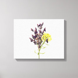 Lavender Canvas Afdruk